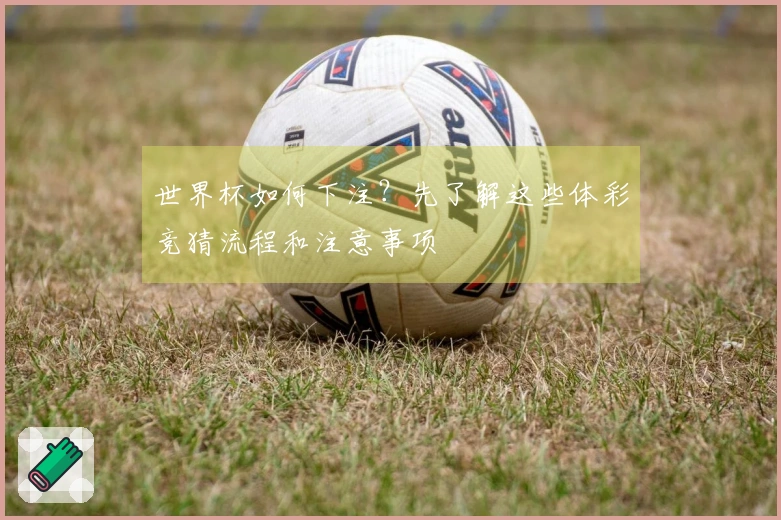 世界杯如何下注？先了解这些体彩竞猜流程和注意事项