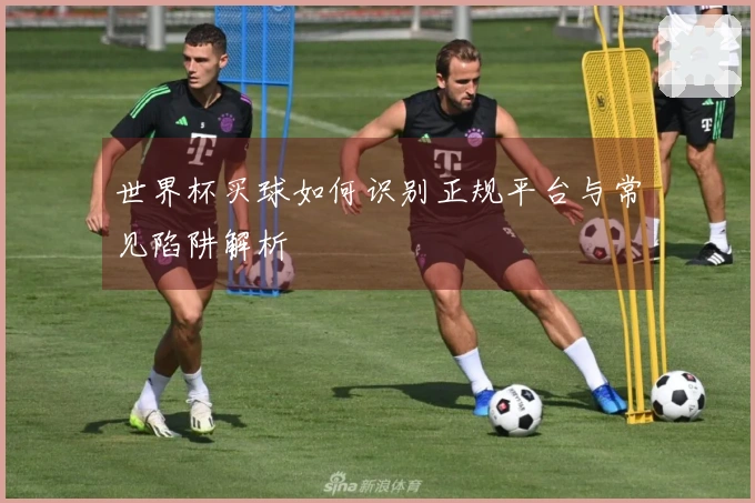 世界杯买球如何识别正规平台与常见陷阱解析