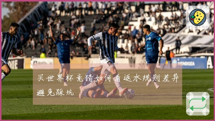 买世界杯竞猜如何看返水规则差异避免踩坑
