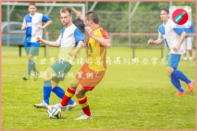 买世界杯竞猜时容易遇到哪些常见问题和踩坑案例？