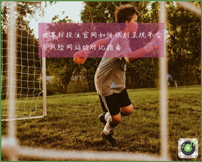 世界杯投注官网如何识别正规平台与风险网站的对比指南