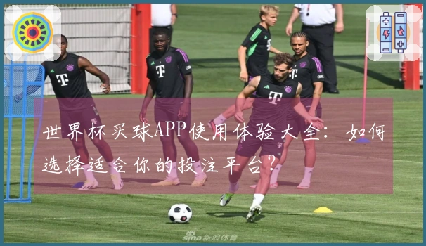 世界杯买球APP使用体验大全：如何选择适合你的投注平台？