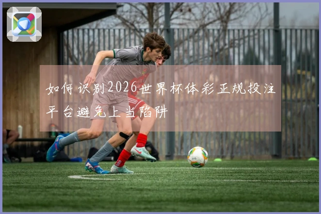 如何识别2026世界杯体彩正规投注平台避免上当陷阱