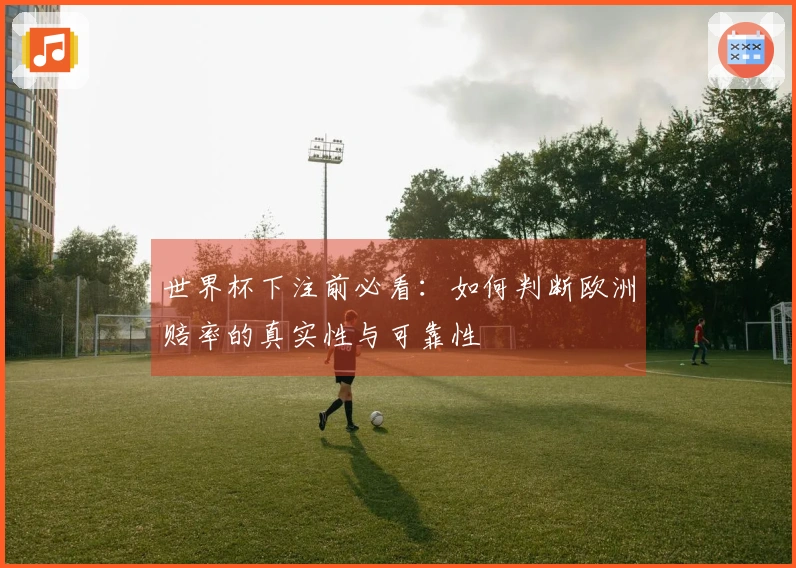 世界杯下注前必看：如何判断欧洲赔率的真实性与可靠性