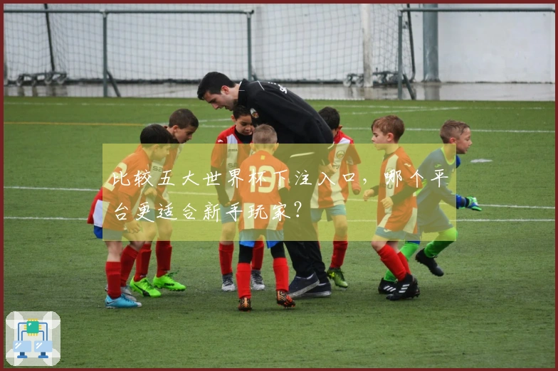比较五大世界杯下注入口，哪个平台更适合新手玩家？