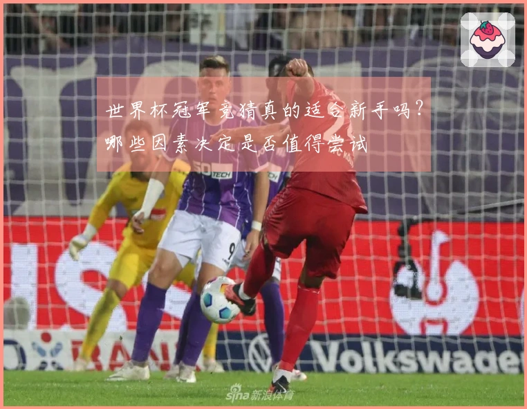 世界杯冠军竞猜真的适合新手吗？哪些因素决定是否值得尝试