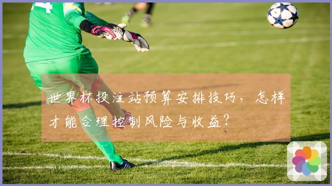 世界杯投注站预算安排技巧，怎样才能合理控制风险与收益？