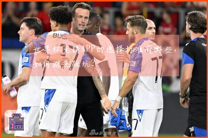 世界杯竞猜APP的选择标准有哪些，如何避免踩坑？