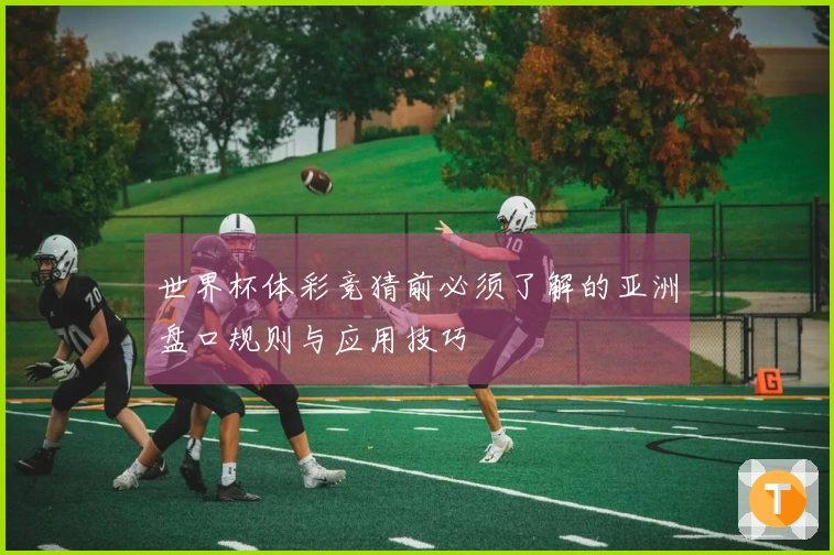 世界杯体彩竞猜前必须了解的亚洲盘口规则与应用技巧