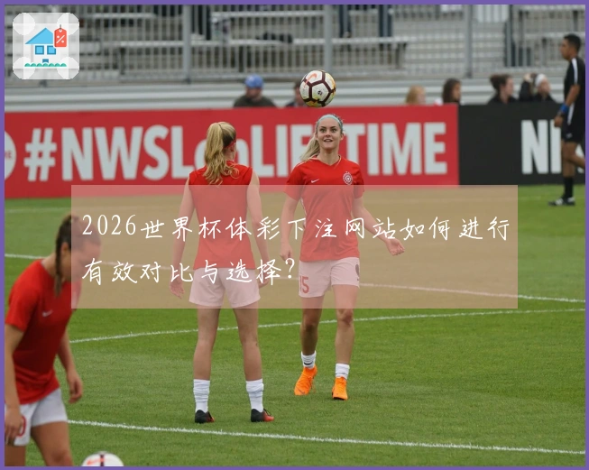 2026世界杯体彩下注网站如何进行有效对比与选择？