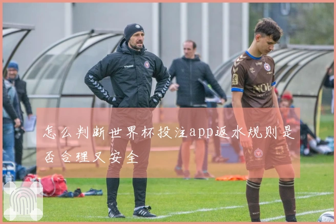 怎么判断世界杯投注app返水规则是否合理又安全