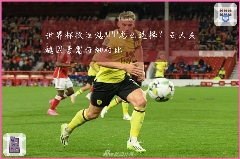 世界杯投注站APP怎么选择？五大关键因素需仔细对比