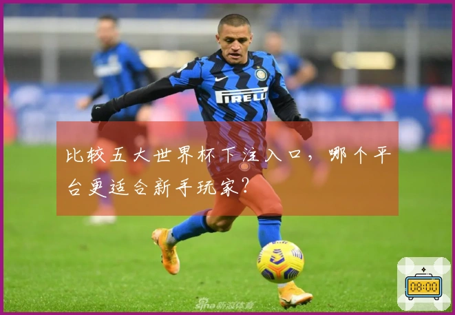比较五大世界杯下注入口，哪个平台更适合新手玩家？