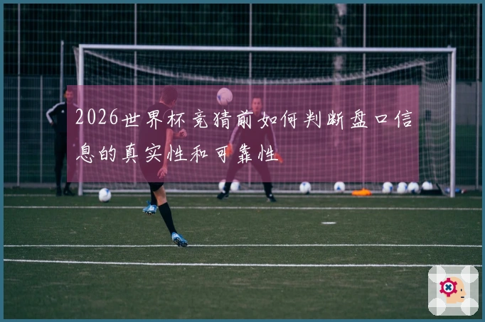 2026世界杯竞猜前如何判断盘口信息的真实性和可靠性