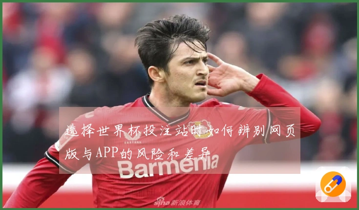 选择世界杯投注站时如何辨别网页版与APP的风险和差异