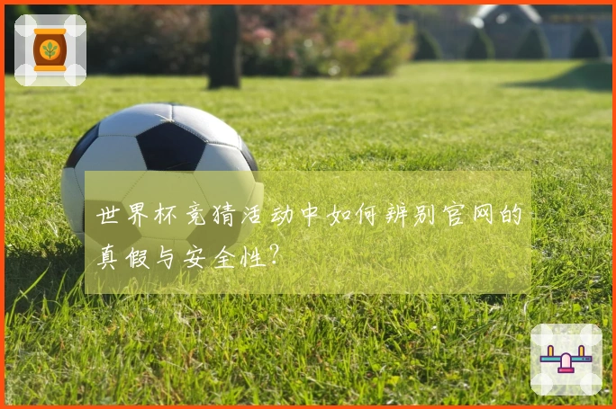世界杯竞猜活动中如何辨别官网的真假与安全性？