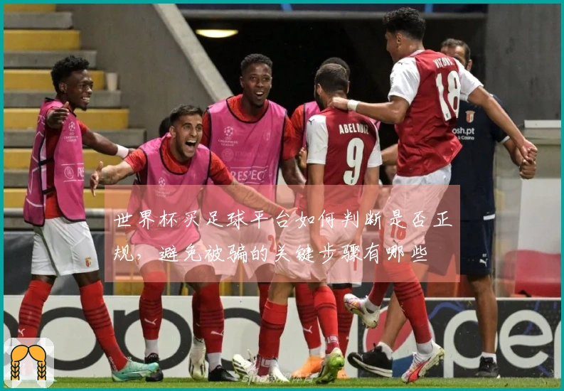 世界杯买足球平台如何判断是否正规，避免被骗的关键步骤有哪些