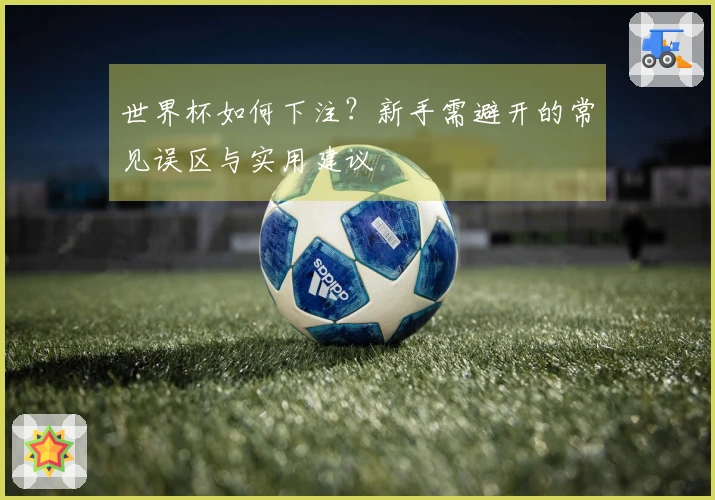 世界杯如何下注？新手需避开的常见误区与实用建议