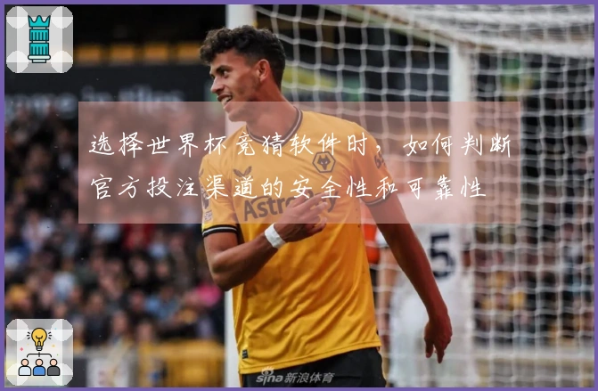 选择世界杯竞猜软件时，如何判断官方投注渠道的安全性和可靠性