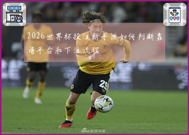 2026世界杯投注新手该如何判断靠谱平台和下注流程