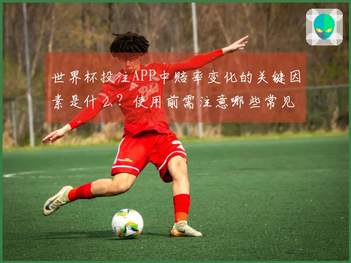世界杯投注APP中赔率变化的关键因素是什么？使用前需注意哪些常见误区？