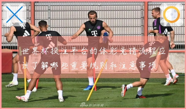 世界杯投注平台的体彩竞猜流程应该了解哪些重要规则和注意事项