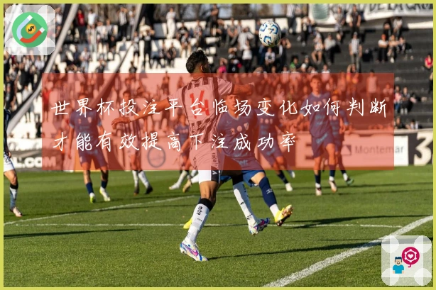 世界杯投注平台临场变化如何判断才能有效提高下注成功率