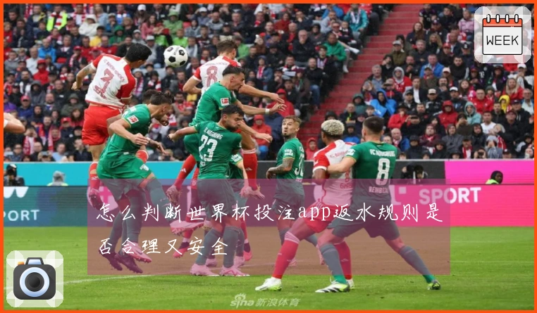 怎么判断世界杯投注app返水规则是否合理又安全