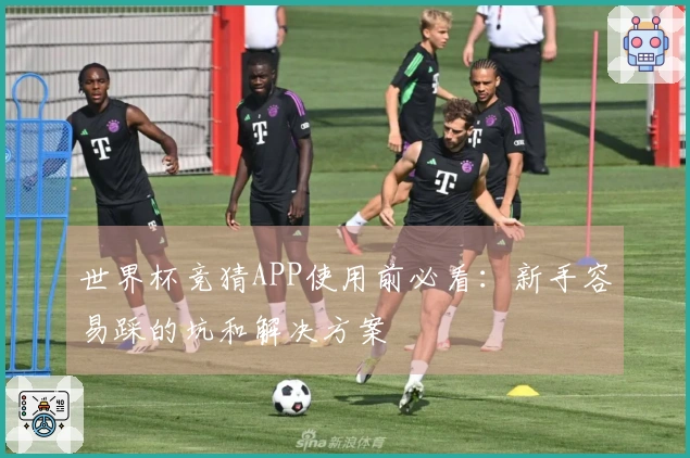 世界杯竞猜APP使用前必看：新手容易踩的坑和解决方案
